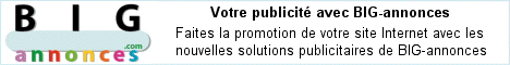 BIG-annonces, annonces publicitaires ciblées, faites la promotion de votre site