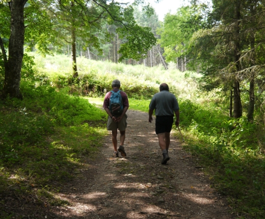 Les Sentiers de la Rsistance sur le Haut-Forez